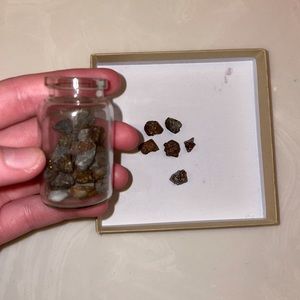 PYRITE ROCKS! FOUND AT LOCAL LAKE